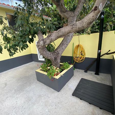 Quintinha Dos Reis Villa ฟุงชาล ภายนอก รูปภาพ