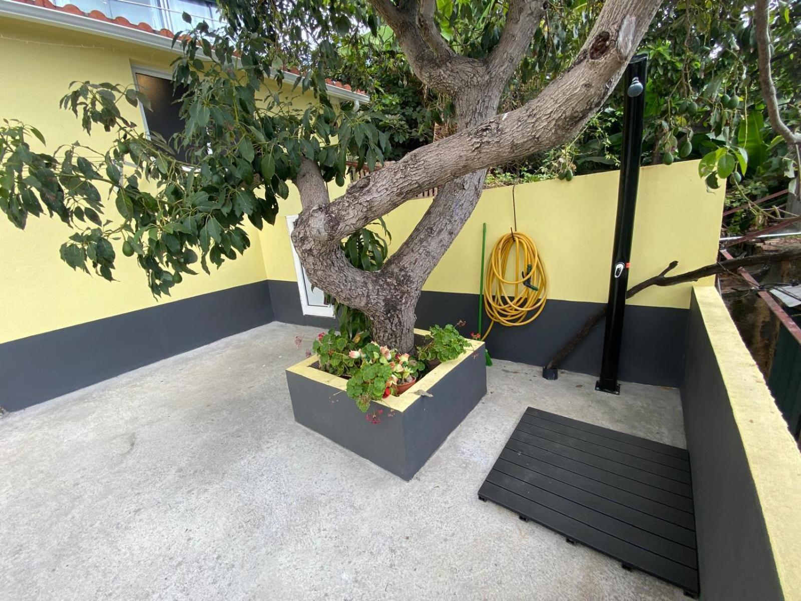 Quintinha Dos Reis Villa ฟุงชาล ภายนอก รูปภาพ